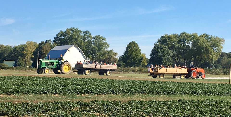 people riding behind a tractor at Spencer strawberry farm