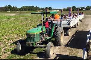 tractor pulling a hayride of people through a field
